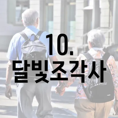 10. 달빛조각사