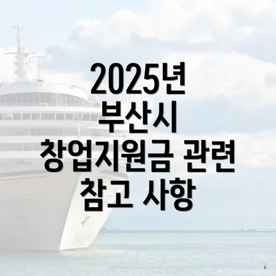 2025년 부산시 창업지원금 관련 참고 사항