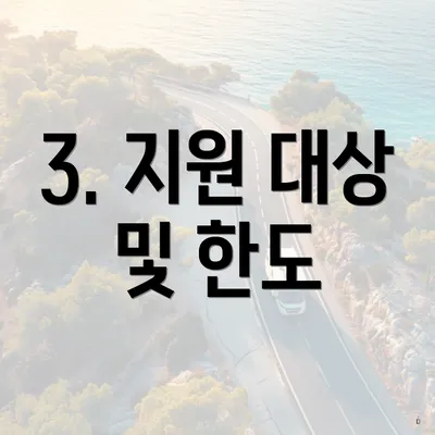 3. 지원 대상 및 한도