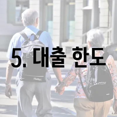 5. 대출 한도