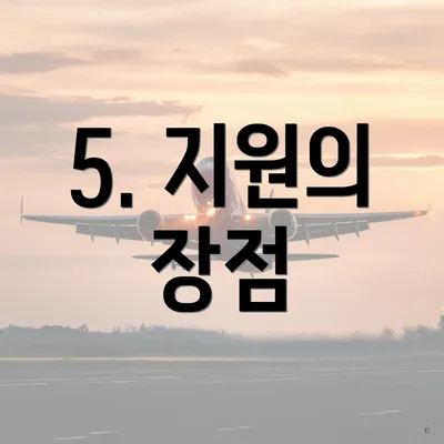 5. 지원의 장점
