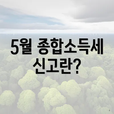 5월 종합소득세 신고란?