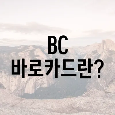 BC 바로카드란?