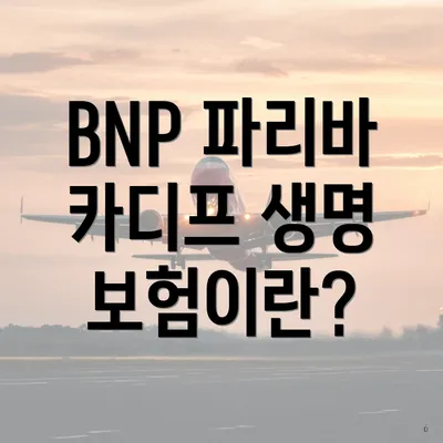 BNP 파리바 카디프 생명 보험이란?