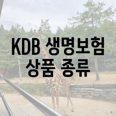 KDB 생명보험 상품 종류