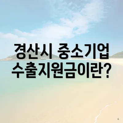 경산시 중소기업 수출지원금이란?