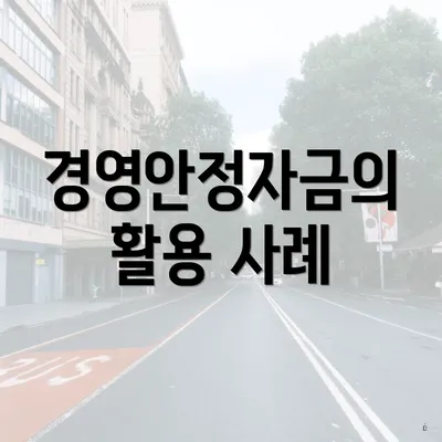 경영안정자금의 활용 사례