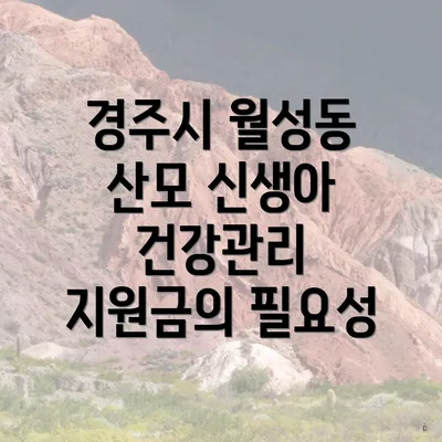 경주시 월성동 산모 신생아 건강관리 지원금의 필요성