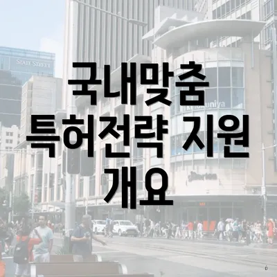 국내맞춤 특허전략 지원 개요