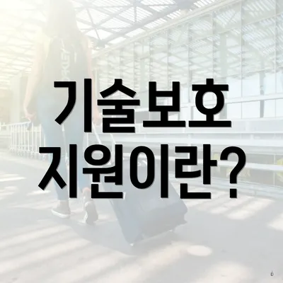 기술보호 지원이란?