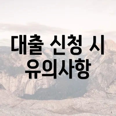 대출 신청 시 유의사항