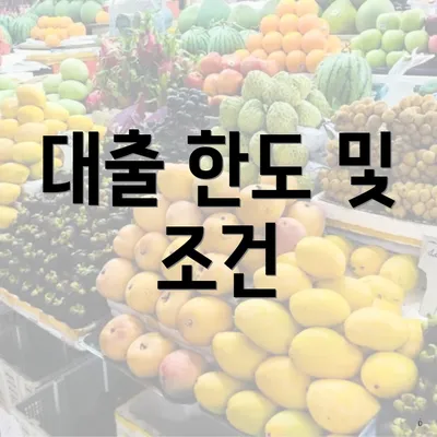 대출 한도 및 조건