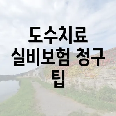 도수치료 실비보험 청구 팁