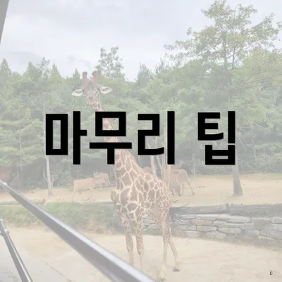 마무리 팁