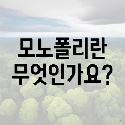 모노폴리란 무엇인가요?