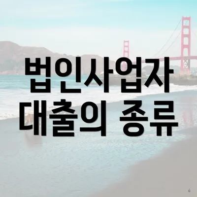 법인사업자 대출의 종류