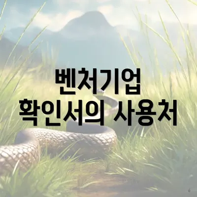 벤처기업 확인서의 사용처