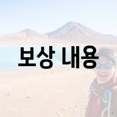 보상 내용