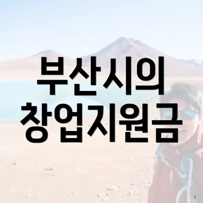 부산시의 창업지원금