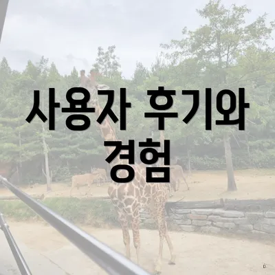 사용자 후기와 경험