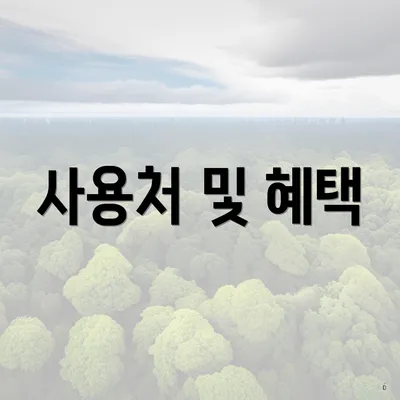 사용처 및 혜택
