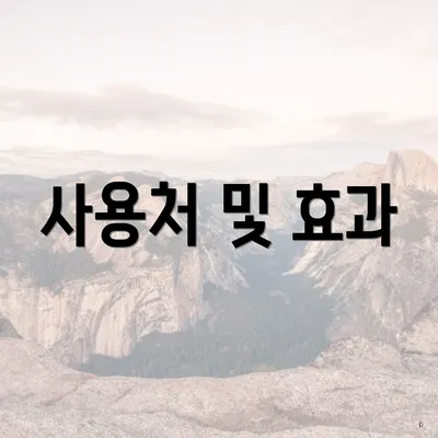 사용처 및 효과