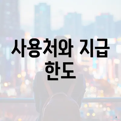 사용처와 지급 한도