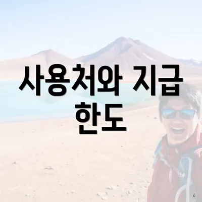 사용처와 지급 한도