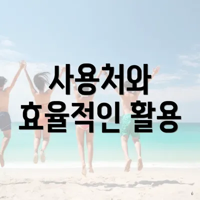 사용처와 효율적인 활용