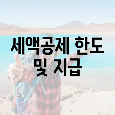 세액공제 한도 및 지급