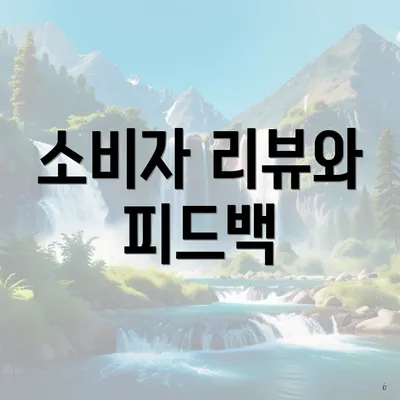소비자 리뷰와 피드백