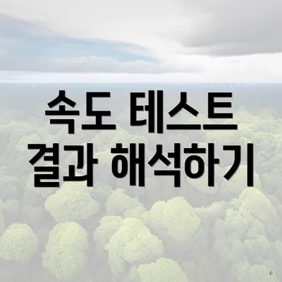 속도 테스트 결과 해석하기