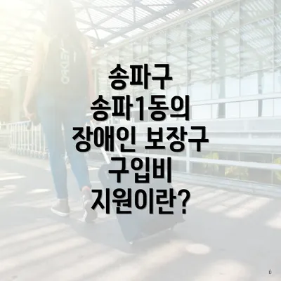송파구 송파1동의 장애인 보장구 구입비 지원이란?