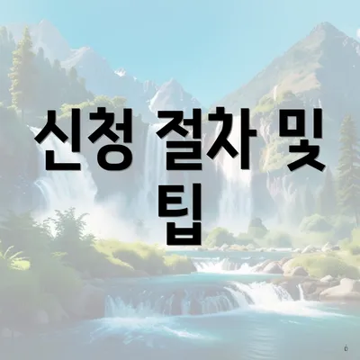 신청 절차 및 팁