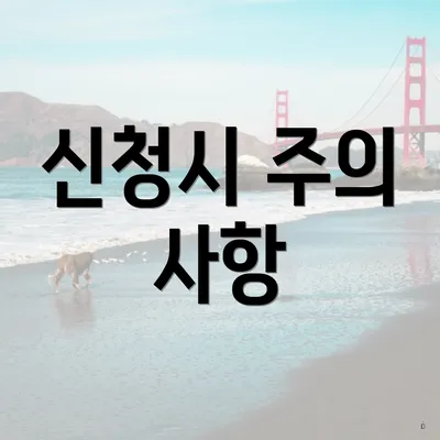 신청시 주의 사항