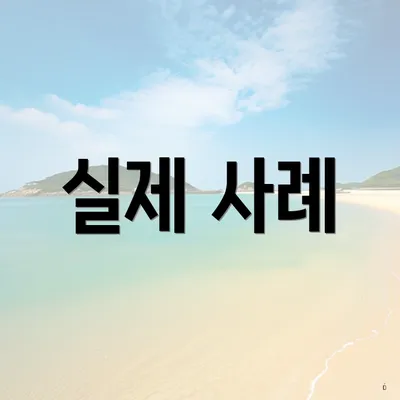 실제 사례