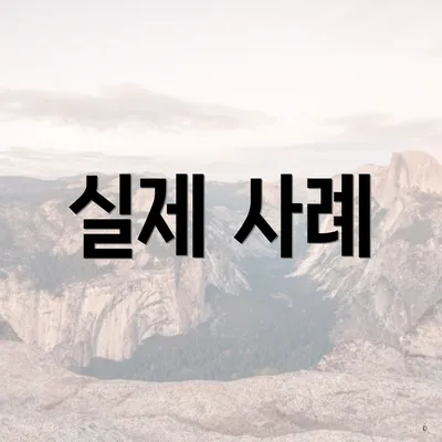 실제 사례