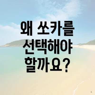 왜 쏘카를 선택해야 할까요?