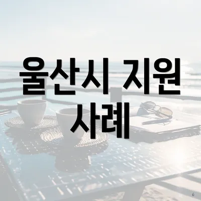 울산시 지원 사례