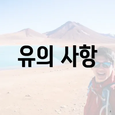 유의 사항
