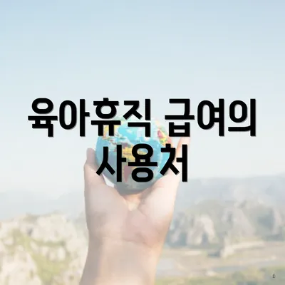 육아휴직 급여의 사용처