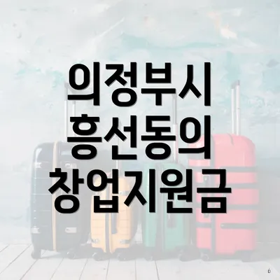 의정부시 흥선동의 창업지원금
