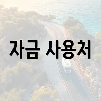 자금 사용처