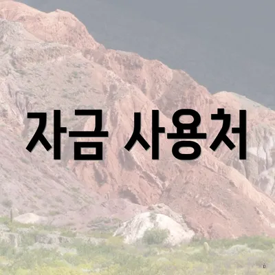자금 사용처
