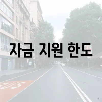 자금 지원 한도