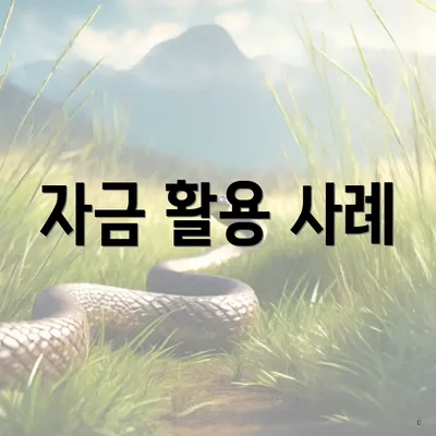 자금 활용 사례