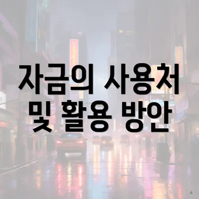 자금의 사용처 및 활용 방안