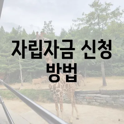 자립자금 신청 방법