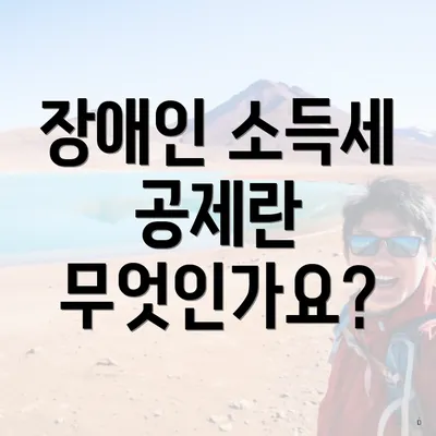 장애인 소득세 공제란 무엇인가요?