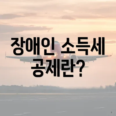 장애인 소득세 공제란?